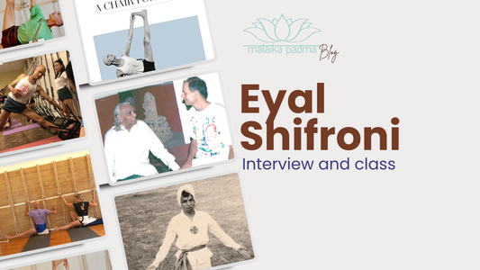 Eyal Shifroni: An Interview & class